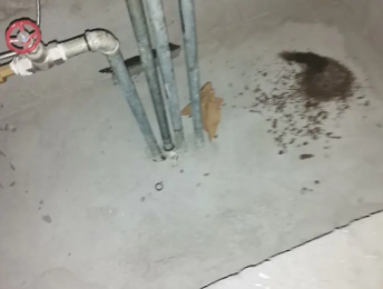 鹿泉卫生间测漏水价格明细